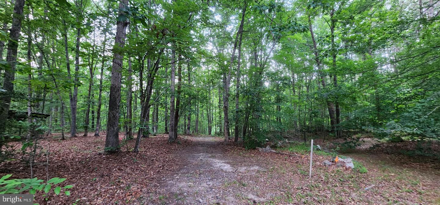 272 MOON SHADOW LN, LOUISA, Virginia 23093, ,Land,For sale,272 MOON SHADOW LN,VALA2008050 MLS # VALA2008050
