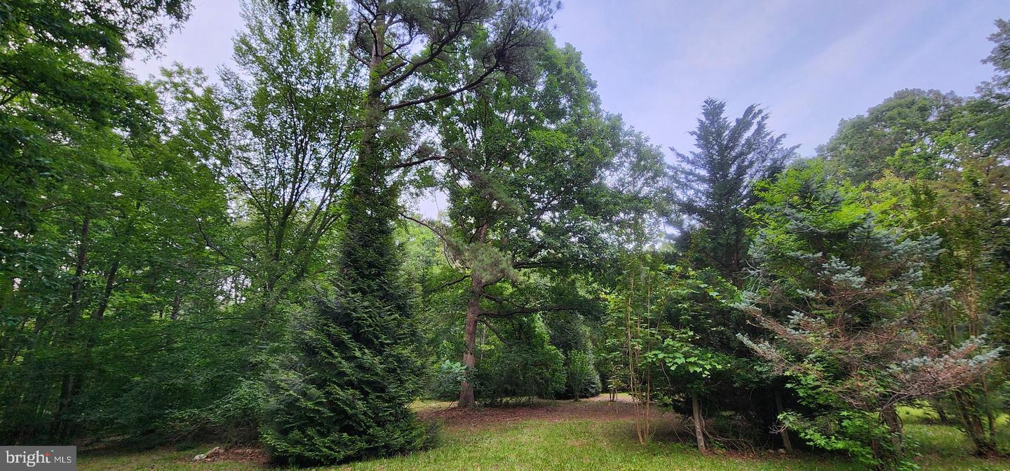 272 MOON SHADOW LN, LOUISA, Virginia 23093, ,Land,For sale,272 MOON SHADOW LN,VALA2008050 MLS # VALA2008050