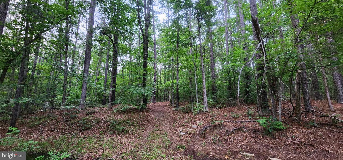 272 MOON SHADOW LN, LOUISA, Virginia 23093, ,Land,For sale,272 MOON SHADOW LN,VALA2008050 MLS # VALA2008050