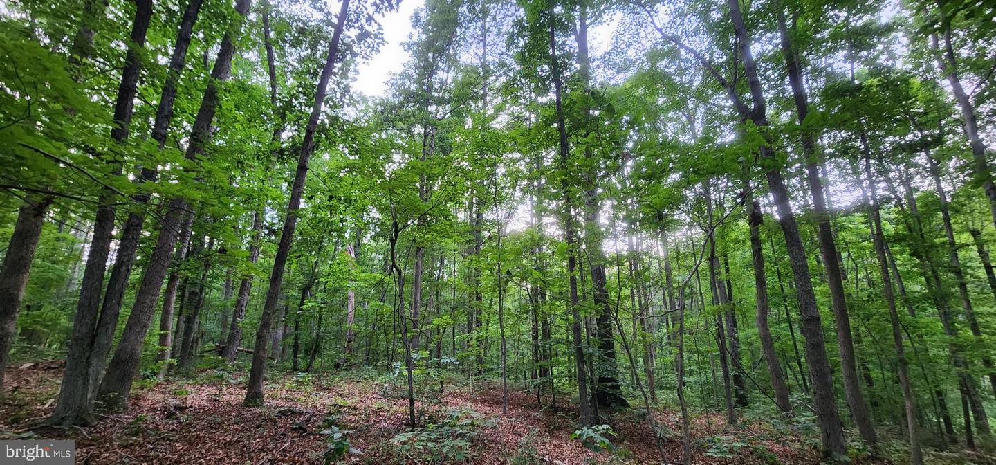 272 MOON SHADOW LN, LOUISA, Virginia 23093, ,Land,For sale,272 MOON SHADOW LN,VALA2008050 MLS # VALA2008050