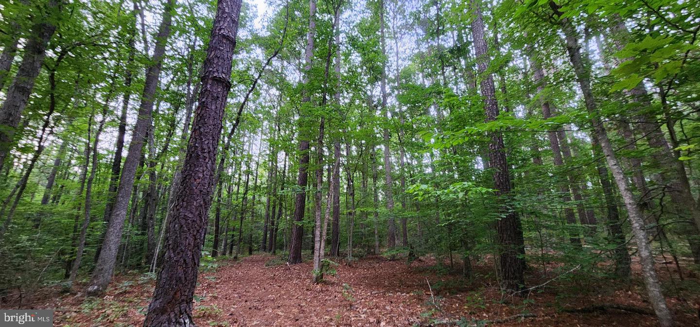 272 MOON SHADOW LN, LOUISA, Virginia 23093, ,Land,For sale,272 MOON SHADOW LN,VALA2008050 MLS # VALA2008050