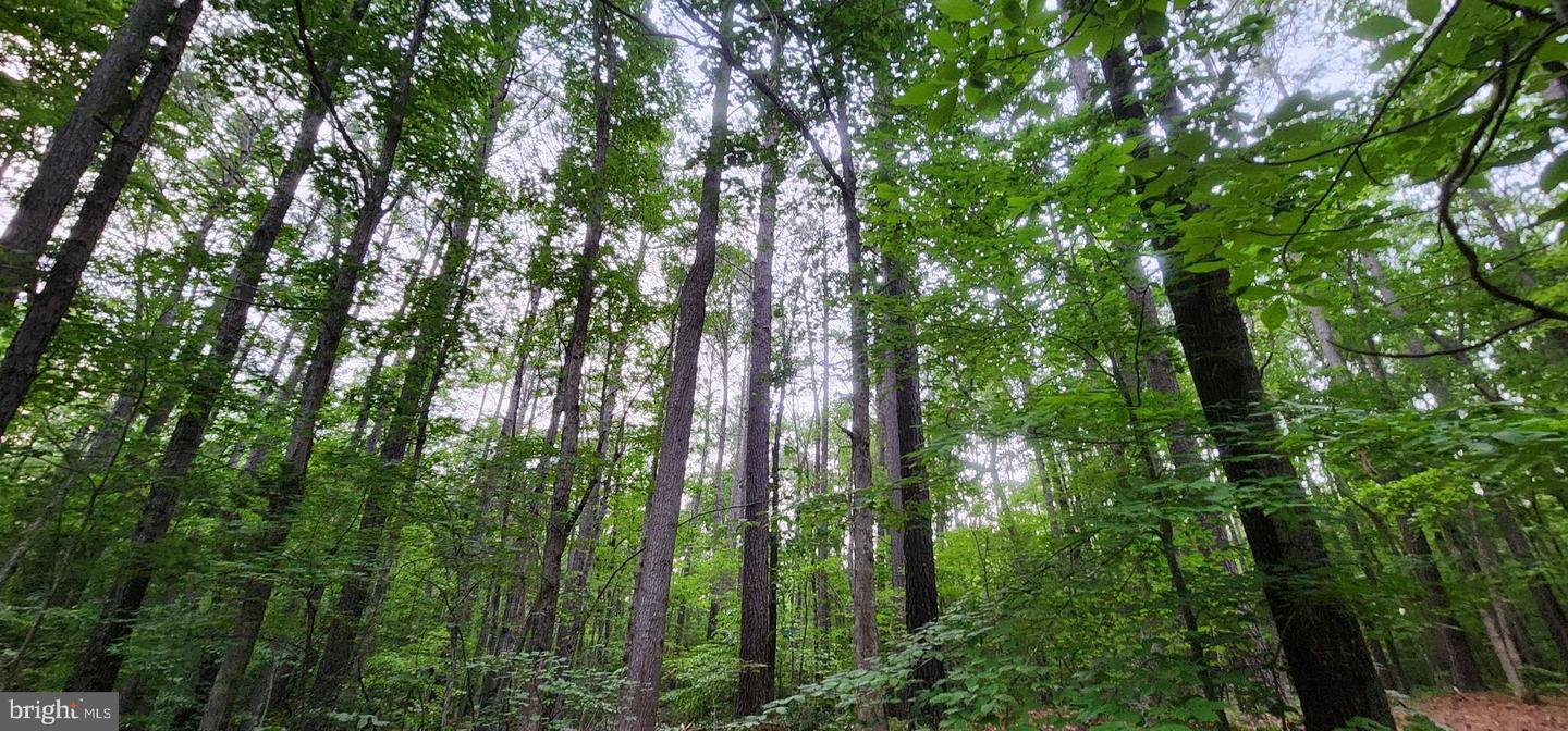 272 MOON SHADOW LN, LOUISA, Virginia 23093, ,Land,For sale,272 MOON SHADOW LN,VALA2008050 MLS # VALA2008050