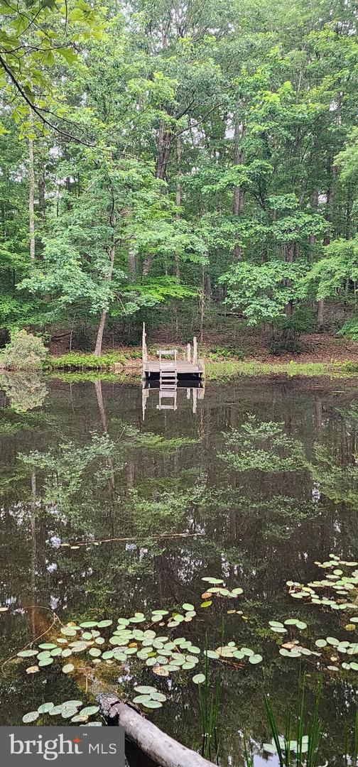 272 MOON SHADOW LN, LOUISA, Virginia 23093, ,Land,For sale,272 MOON SHADOW LN,VALA2008050 MLS # VALA2008050