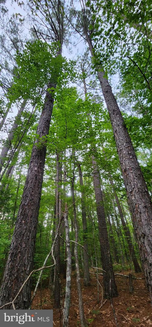 272 MOON SHADOW LN, LOUISA, Virginia 23093, ,Land,For sale,272 MOON SHADOW LN,VALA2008050 MLS # VALA2008050