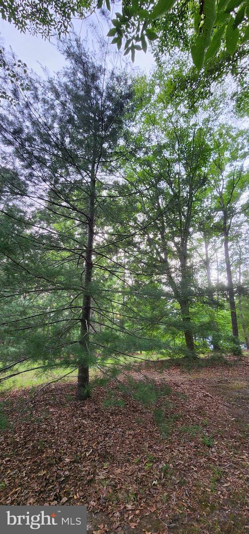 272 MOON SHADOW LN, LOUISA, Virginia 23093, ,Land,For sale,272 MOON SHADOW LN,VALA2008050 MLS # VALA2008050