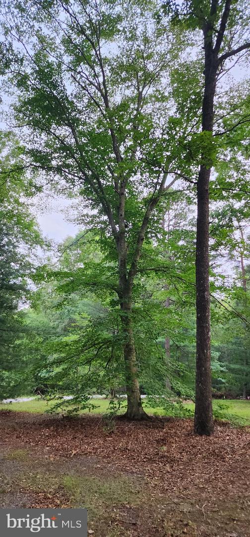 272 MOON SHADOW LN, LOUISA, Virginia 23093, ,Land,For sale,272 MOON SHADOW LN,VALA2008050 MLS # VALA2008050
