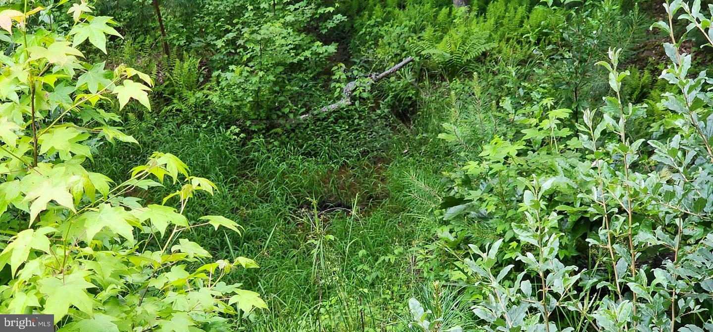 272 MOON SHADOW LN, LOUISA, Virginia 23093, ,Land,For sale,272 MOON SHADOW LN,VALA2008050 MLS # VALA2008050