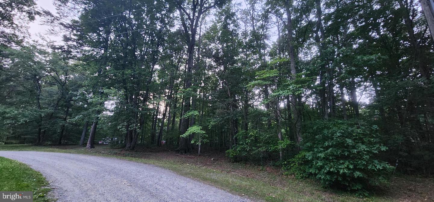 272 MOON SHADOW LN, LOUISA, Virginia 23093, ,Land,For sale,272 MOON SHADOW LN,VALA2008050 MLS # VALA2008050