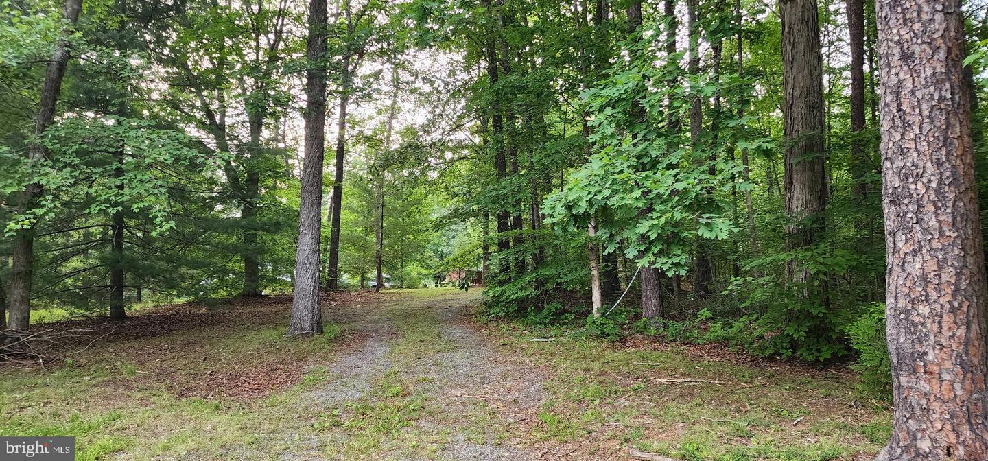 272 MOON SHADOW LN, LOUISA, Virginia 23093, ,Land,For sale,272 MOON SHADOW LN,VALA2008050 MLS # VALA2008050