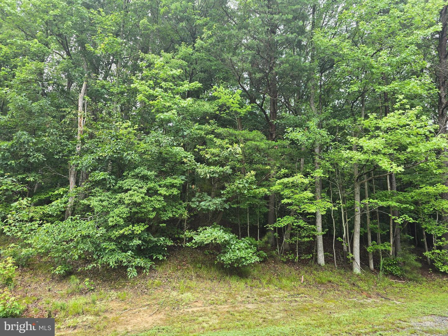 LOT #81 CASTLE DR, MONTROSS, Virginia 22520, ,Land,For sale,LOT #81 CASTLE DR,VAWE2009164 MLS # VAWE2009164