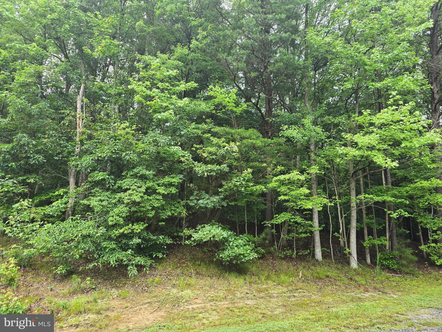 LOT #81 CASTLE DR, MONTROSS, Virginia 22520, ,Land,For sale,LOT #81 CASTLE DR,VAWE2009164 MLS # VAWE2009164