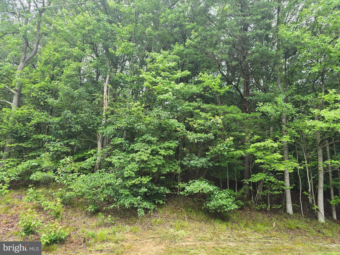 LOT #81 CASTLE DR, MONTROSS, Virginia 22520, ,Land,For sale,LOT #81 CASTLE DR,VAWE2009164 MLS # VAWE2009164