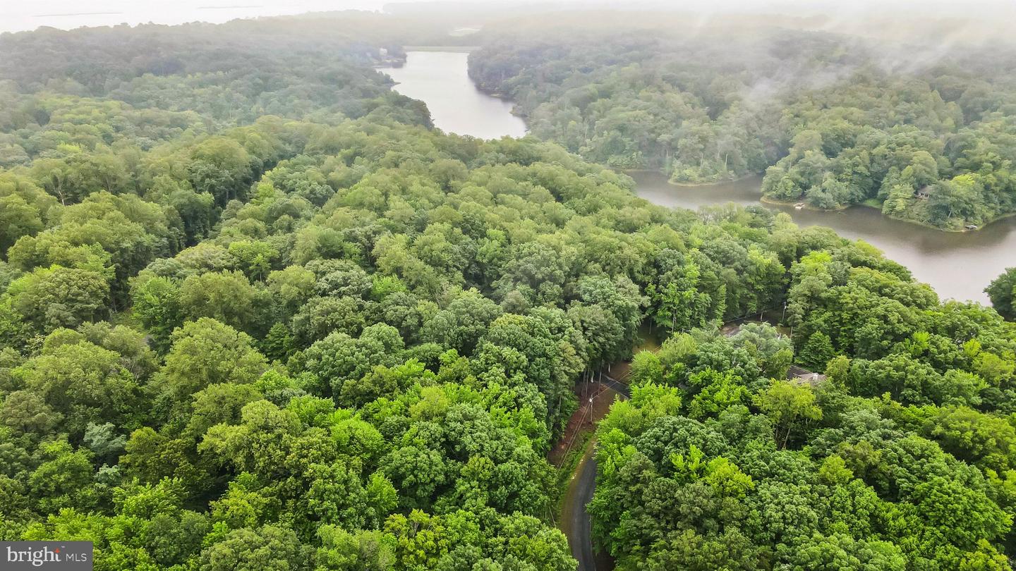 LOT #81 CASTLE DR, MONTROSS, Virginia 22520, ,Land,For sale,LOT #81 CASTLE DR,VAWE2009164 MLS # VAWE2009164