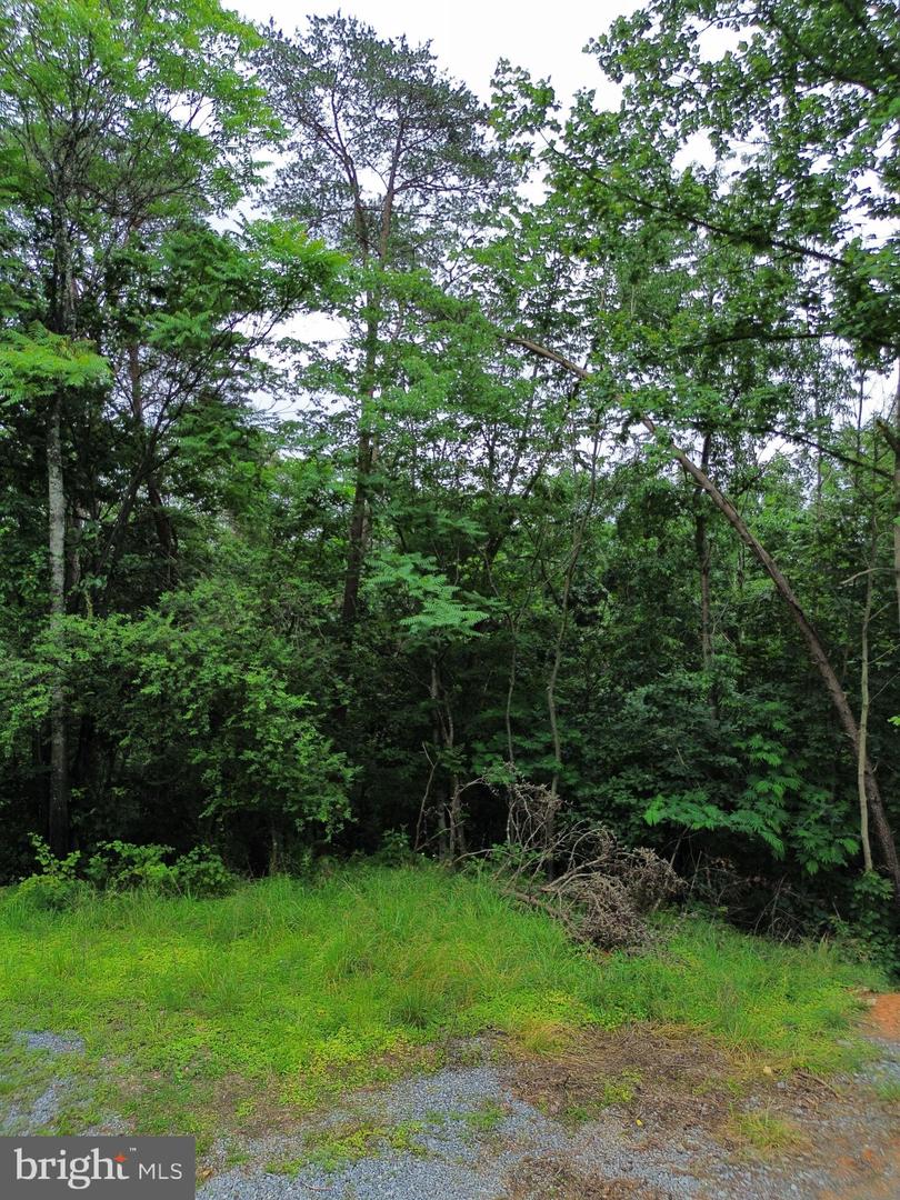 LOT 9 LOOKOUT DR, SHENANDOAH, Virginia 22849, ,Land,For sale,LOT 9 LOOKOUT DR,VAPA2005044 MLS # VAPA2005044