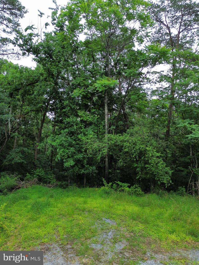 LOT 9 LOOKOUT DR, SHENANDOAH, Virginia 22849, ,Land,For sale,LOT 9 LOOKOUT DR,VAPA2005044 MLS # VAPA2005044