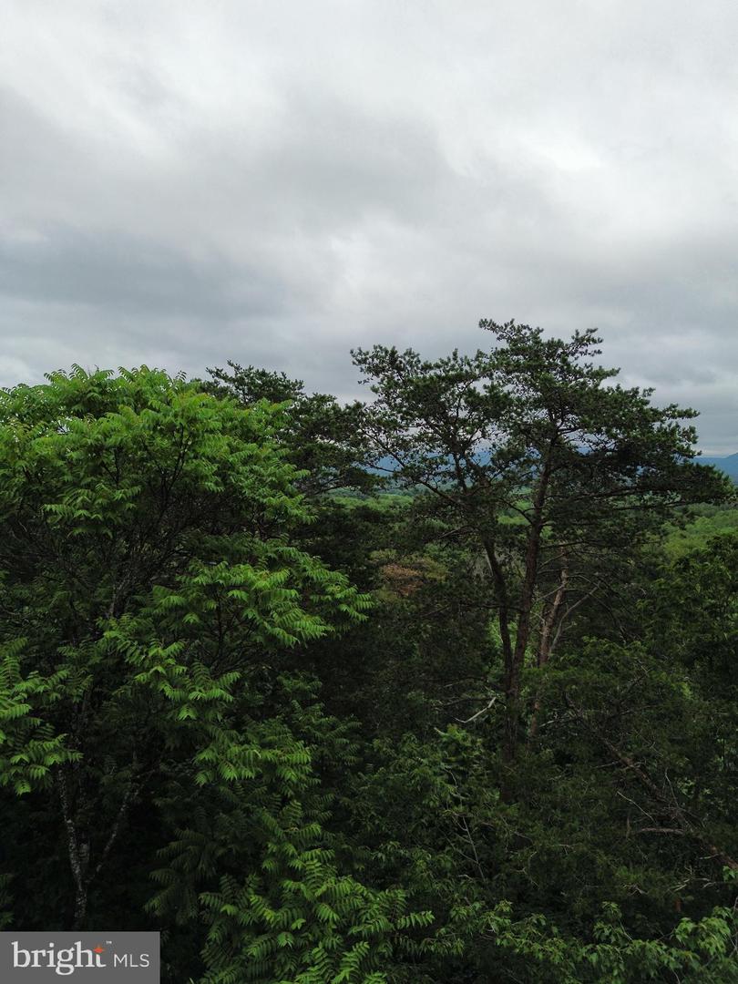 LOT 9 LOOKOUT DR, SHENANDOAH, Virginia 22849, ,Land,For sale,LOT 9 LOOKOUT DR,VAPA2005044 MLS # VAPA2005044