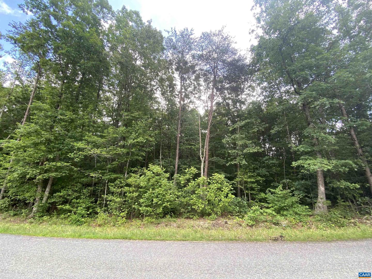 0 WICKHAM RD, BUMPASS, Virginia 23024, ,Land,For sale,0 WICKHAM RD,665894 MLS # 665894