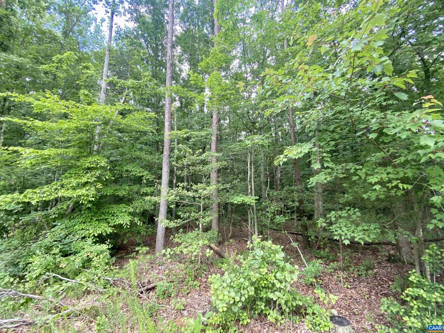 0 WICKHAM RD, BUMPASS, Virginia 23024, ,Land,For sale,0 WICKHAM RD,665894 MLS # 665894