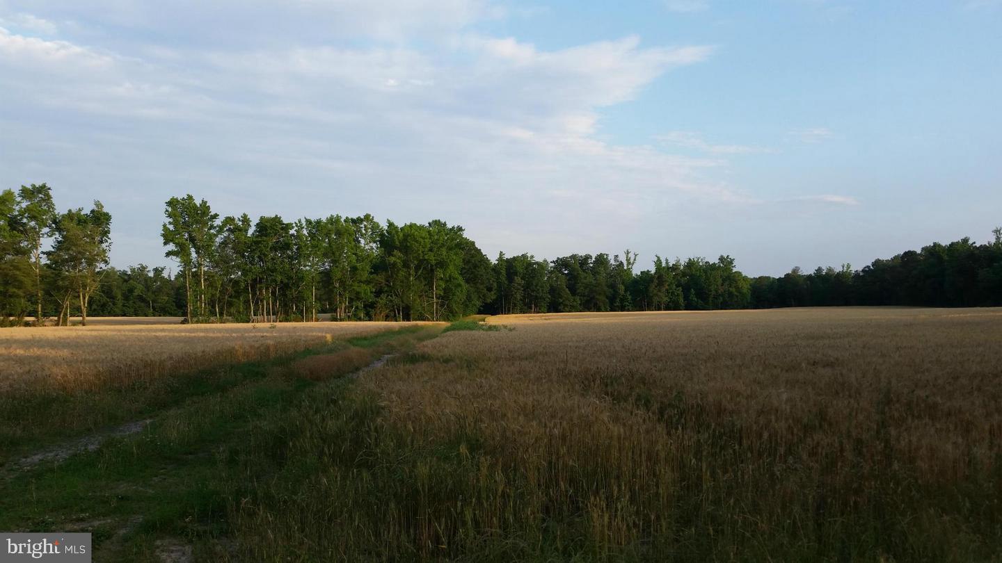 TAX IDS 35 71&71C STONEY KNOLL AND KINGS MILL, KING GEORGE, Virginia 22485, ,Farm,For sale,TAX IDS 35 71&71C STONEY KNOLL AND KINGS MILL ,VAKG2006628 MLS # VAKG2006628