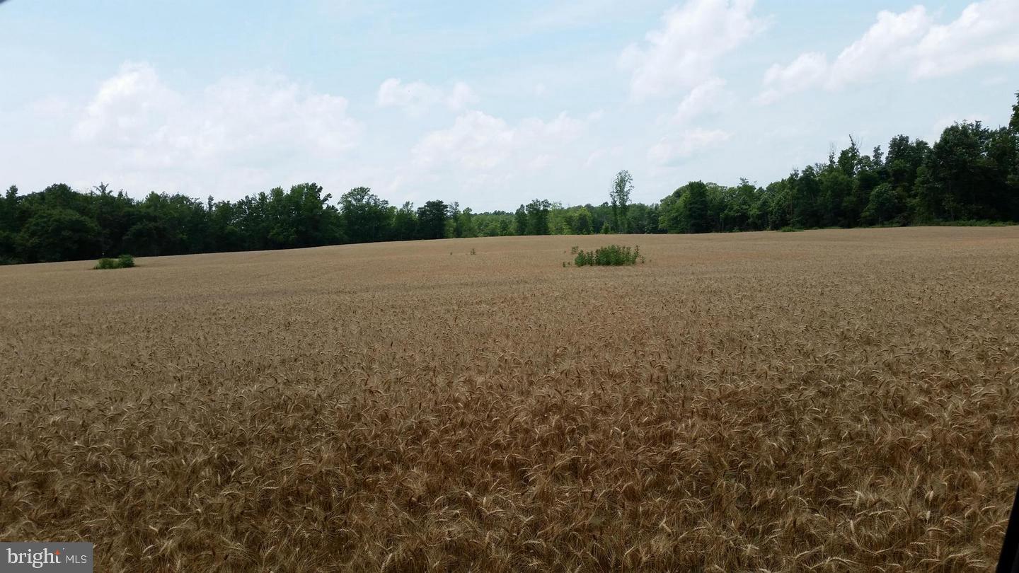 TAX IDS 35 71&71C STONEY KNOLL AND KINGS MILL, KING GEORGE, Virginia 22485, ,Farm,For sale,TAX IDS 35 71&71C STONEY KNOLL AND KINGS MILL ,VAKG2006628 MLS # VAKG2006628