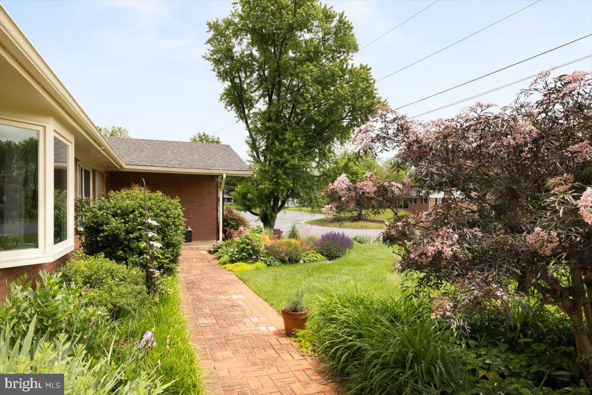 331 RIDGE AVE, WINCHESTER, Virginia 22601, 4 Bedrooms Bedrooms, ,3 BathroomsBathrooms,Residential,For sale,331 RIDGE AVE,VAWI2007374 MLS # VAWI2007374