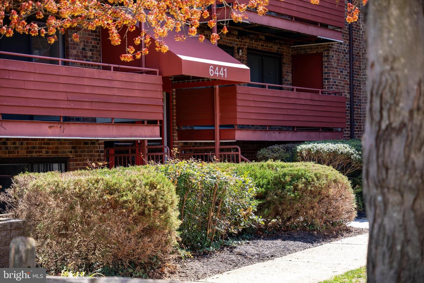 6441 RICHMOND HWY #201, ALEXANDRIA, Virginia 22306, 1 Bedroom Bedrooms, ,1 BathroomBathrooms,Residential,For sale,6441 RICHMOND HWY #201,VAFX2229750 MLS # VAFX2229750