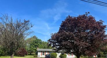 1225 KIMBLE RD, BERRYVILLE, Virginia 22611, 3 Bedrooms Bedrooms, ,1 BathroomBathrooms,Residential,For sale,1225 KIMBLE RD,VACL2003628 MLS # VACL2003628