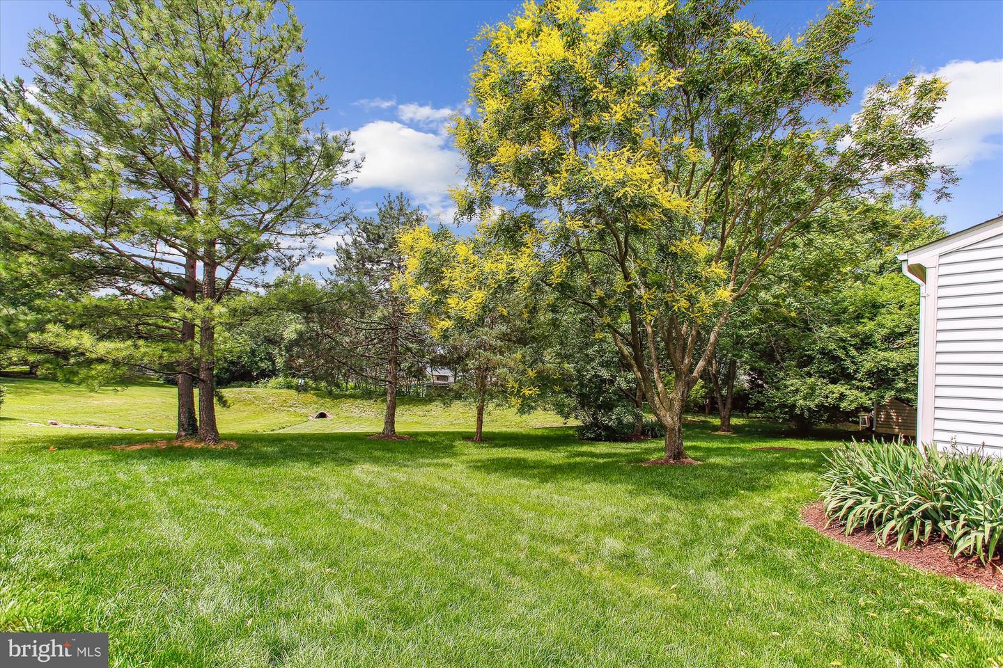 6584 FORSYTHIA ST, SPRINGFIELD, Virginia 22150, 3 Bedrooms Bedrooms, ,3 BathroomsBathrooms,Residential,For sale,6584 FORSYTHIA ST,VAFX2244200 MLS # VAFX2244200