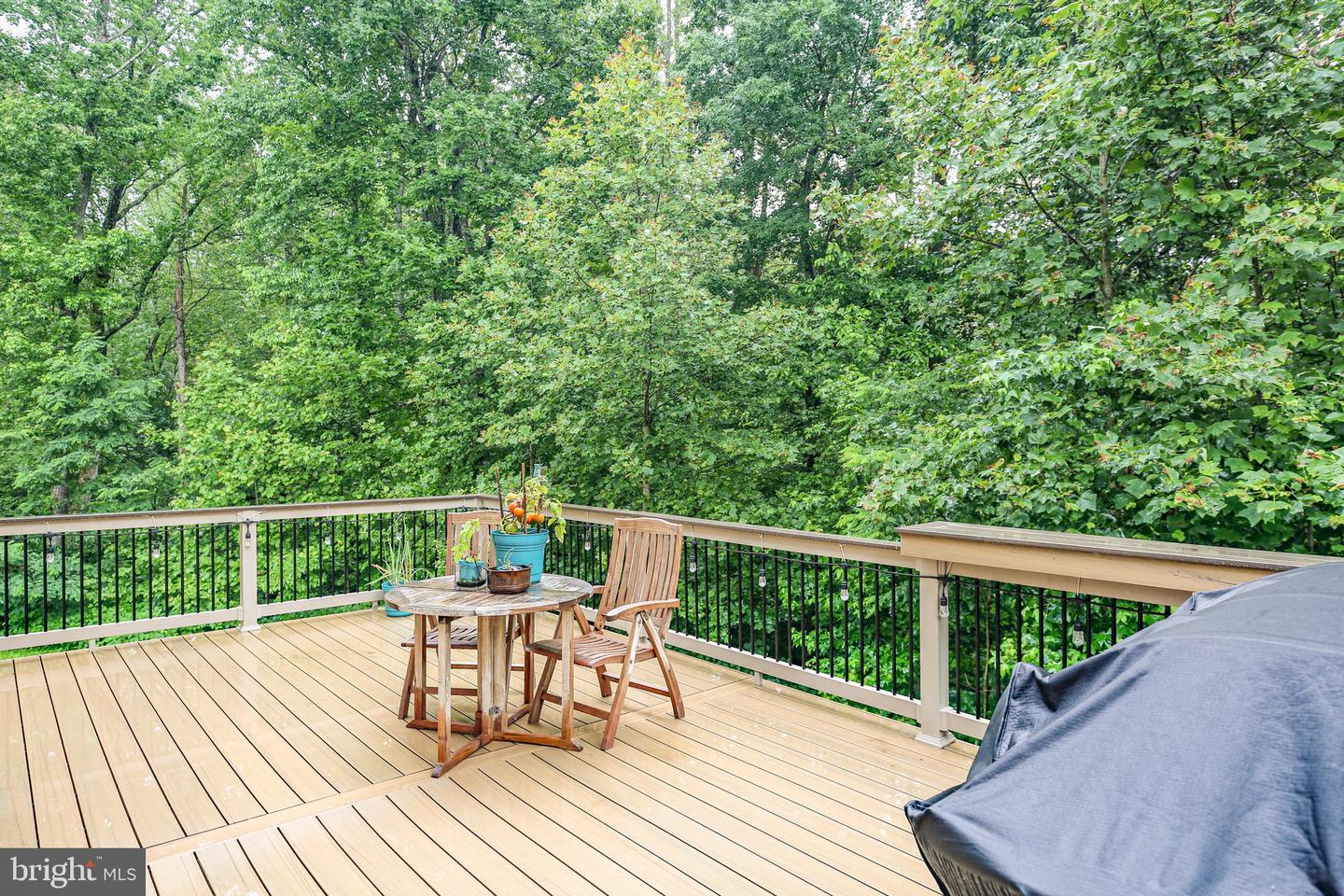 141 LIVINGWOOD CT, FREDERICKSBURG, Virginia 22405, 4 Bedrooms Bedrooms, ,2 BathroomsBathrooms,Residential,For sale,141 LIVINGWOOD CT,VAST2039380 MLS # VAST2039380