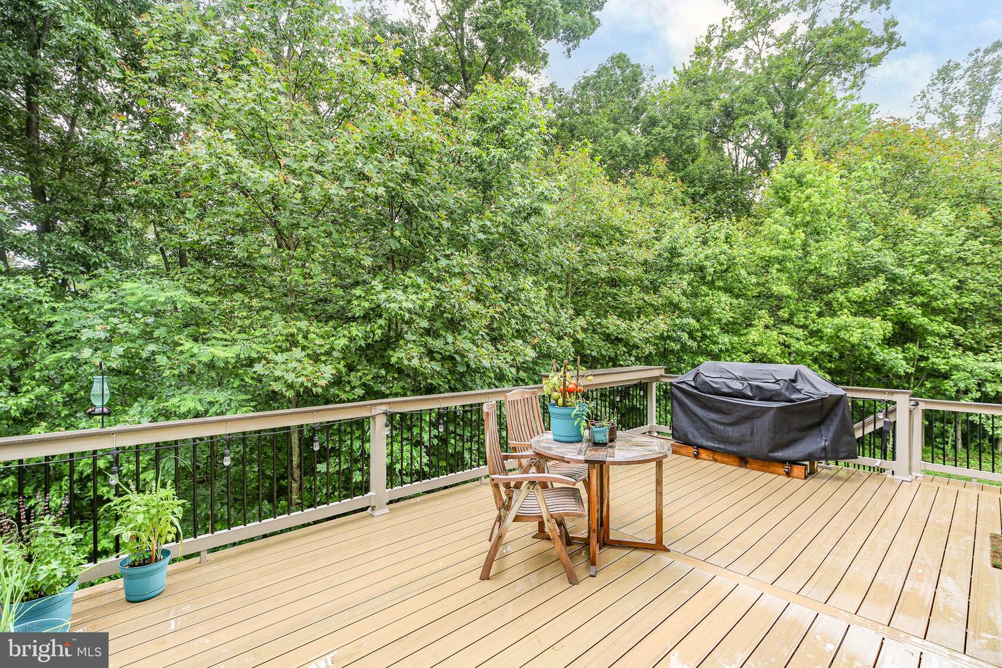 141 LIVINGWOOD CT, FREDERICKSBURG, Virginia 22405, 4 Bedrooms Bedrooms, ,2 BathroomsBathrooms,Residential,For sale,141 LIVINGWOOD CT,VAST2039380 MLS # VAST2039380