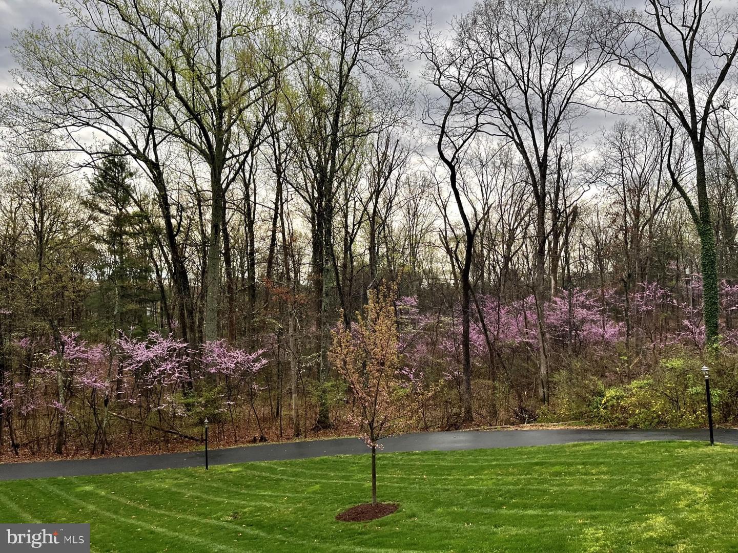 13134 CARRIAGE FORD RD, NOKESVILLE, Virginia 20181, 4 Bedrooms Bedrooms, ,3 BathroomsBathrooms,Residential,For sale,13134 CARRIAGE FORD RD,VAPW2096208 MLS # VAPW2096208