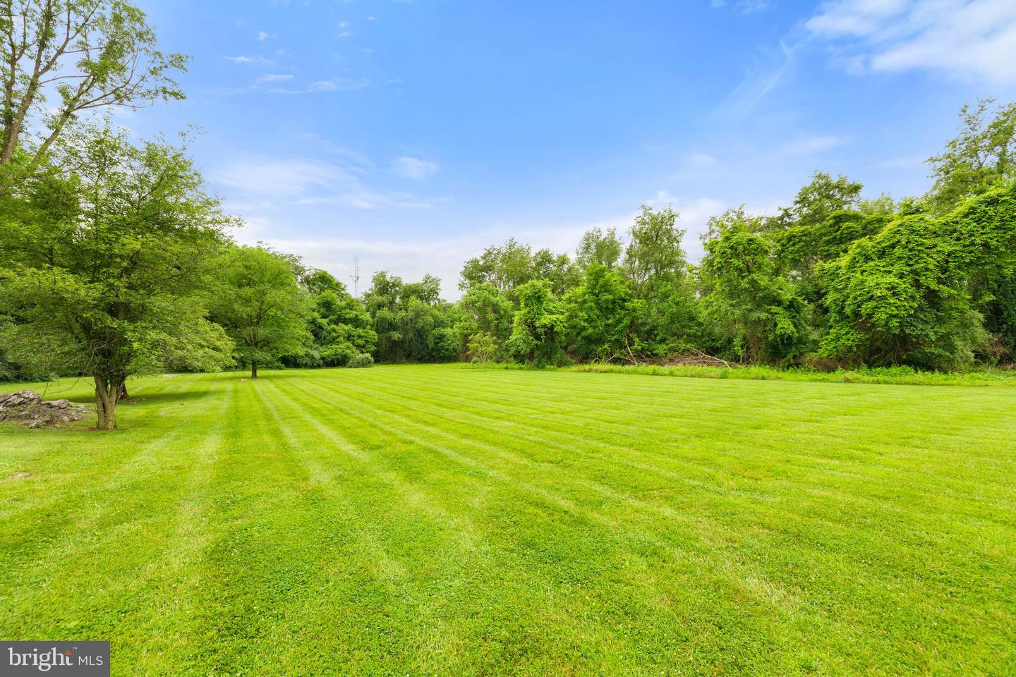 233 KIMBLE RD, BERRYVILLE, Virginia 22611, 4 Bedrooms Bedrooms, ,3 BathroomsBathrooms,Residential,For sale,233 KIMBLE RD,VACL2003826 MLS # VACL2003826