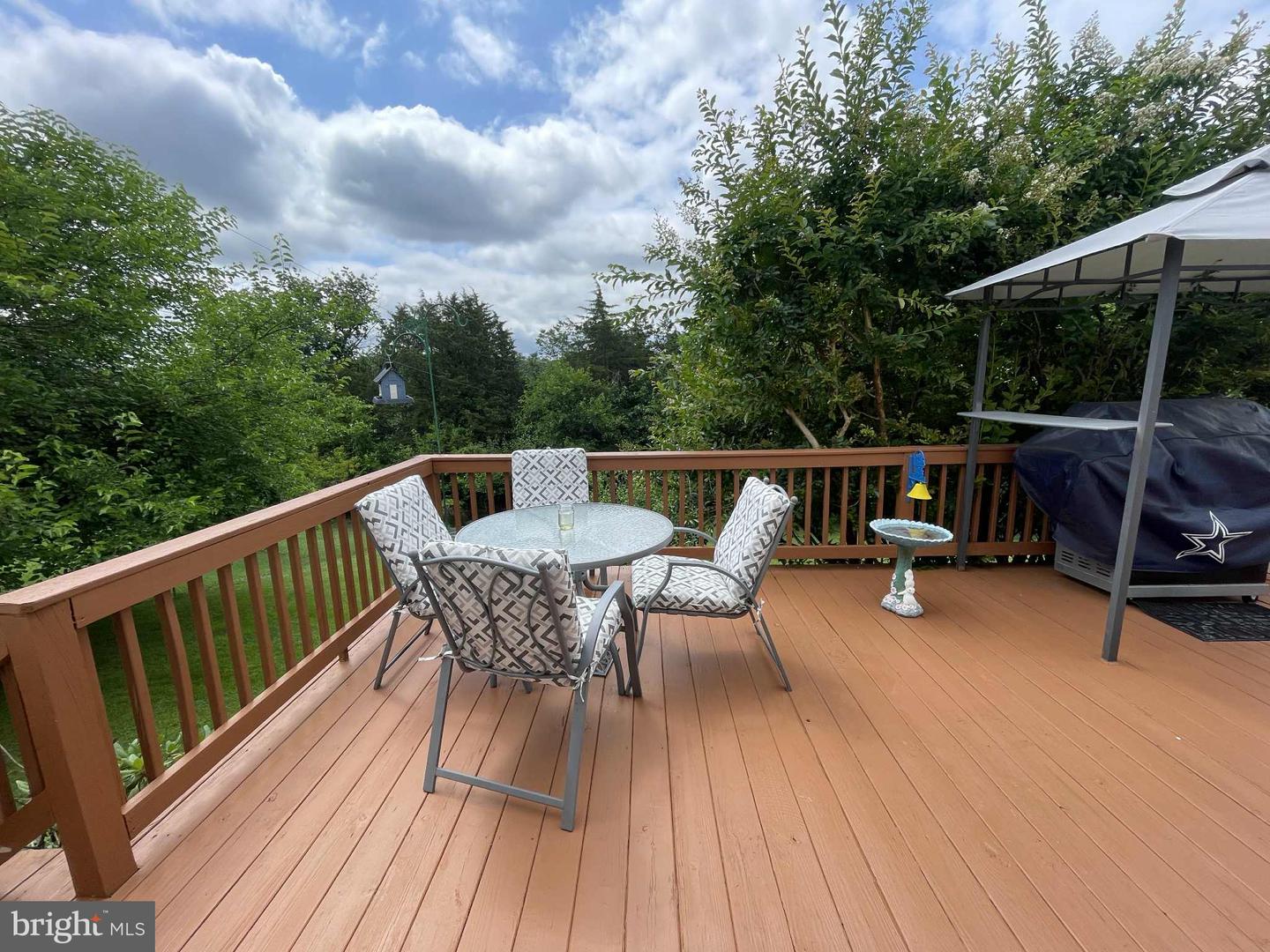 220 AIRSTRIP RD, LURAY, Virginia 22835, 3 Bedrooms Bedrooms, ,2 BathroomsBathrooms,Residential,For sale,220 AIRSTRIP RD,VAPA2005038 MLS # VAPA2005038