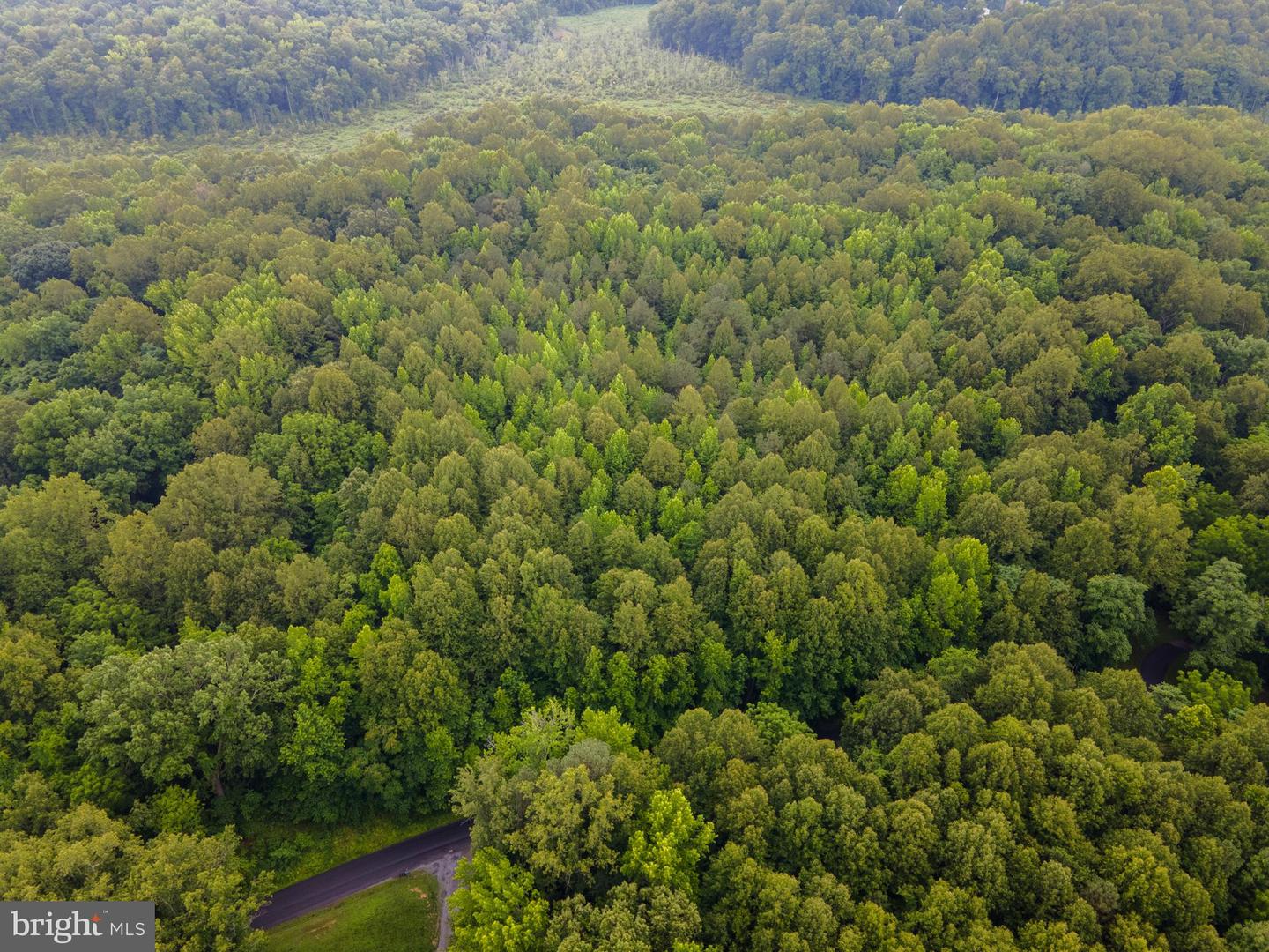 (TAX MAP 17-21) SAINT PAUL RD, KING GEORGE, Virginia 22485, ,Land,For sale,(TAX MAP 17-21) SAINT PAUL RD,VAKG2006544 MLS # VAKG2006544