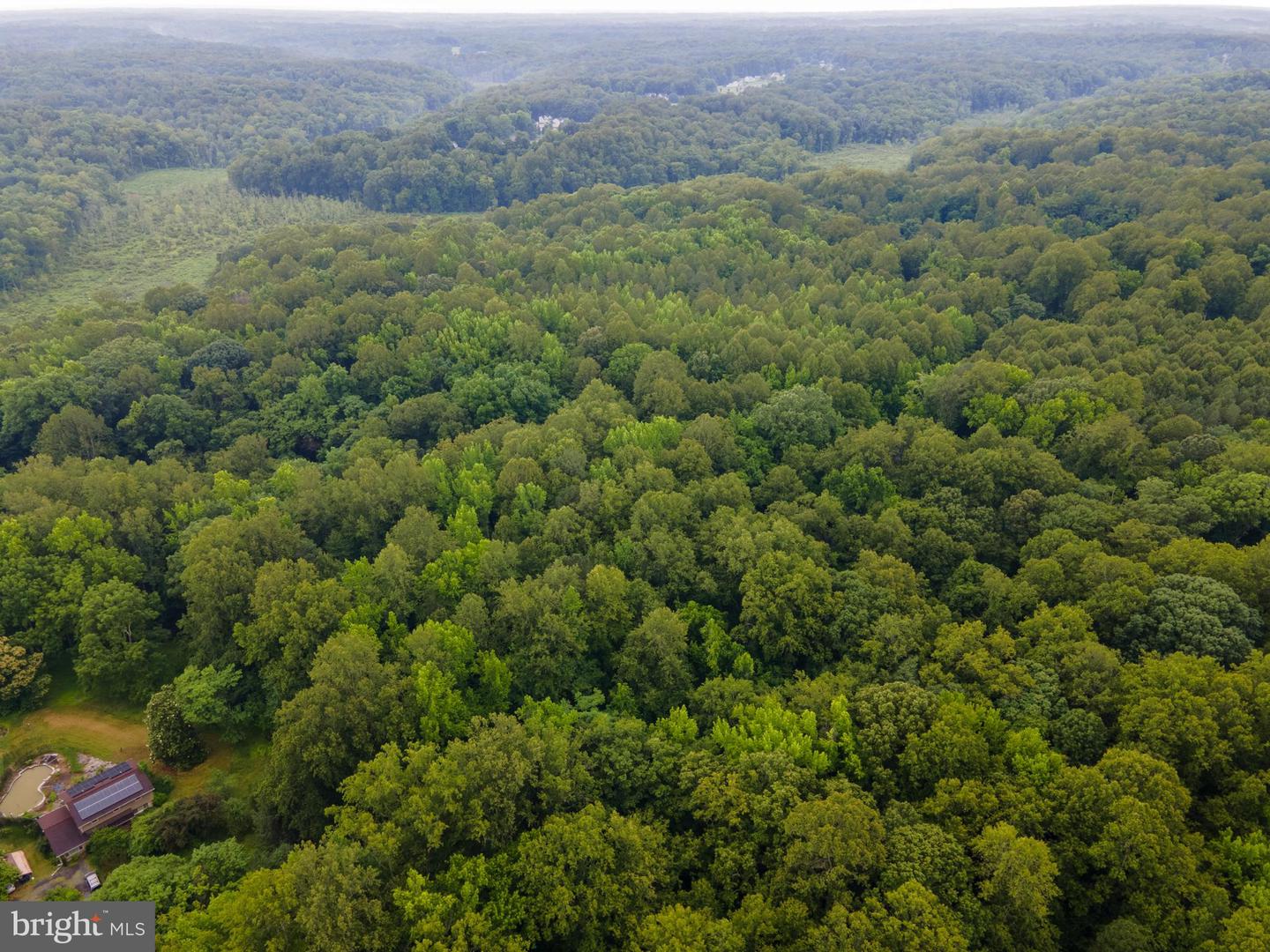 (TAX MAP 17-21) SAINT PAUL RD, KING GEORGE, Virginia 22485, ,Land,For sale,(TAX MAP 17-21) SAINT PAUL RD,VAKG2006544 MLS # VAKG2006544