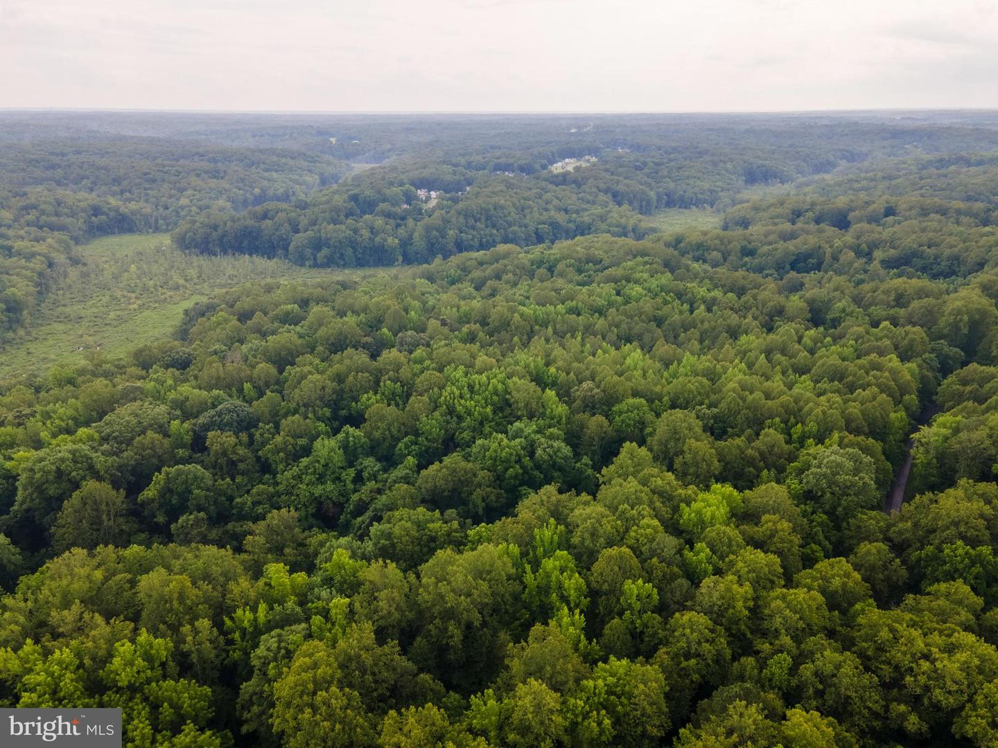 (TAX MAP 17-21) SAINT PAUL RD, KING GEORGE, Virginia 22485, ,Land,For sale,(TAX MAP 17-21) SAINT PAUL RD,VAKG2006544 MLS # VAKG2006544