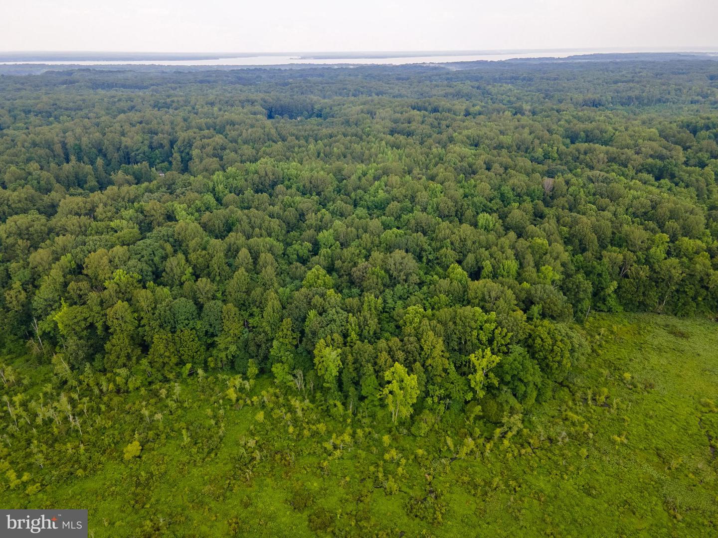 (TAX MAP 17-21) SAINT PAUL RD, KING GEORGE, Virginia 22485, ,Land,For sale,(TAX MAP 17-21) SAINT PAUL RD,VAKG2006544 MLS # VAKG2006544