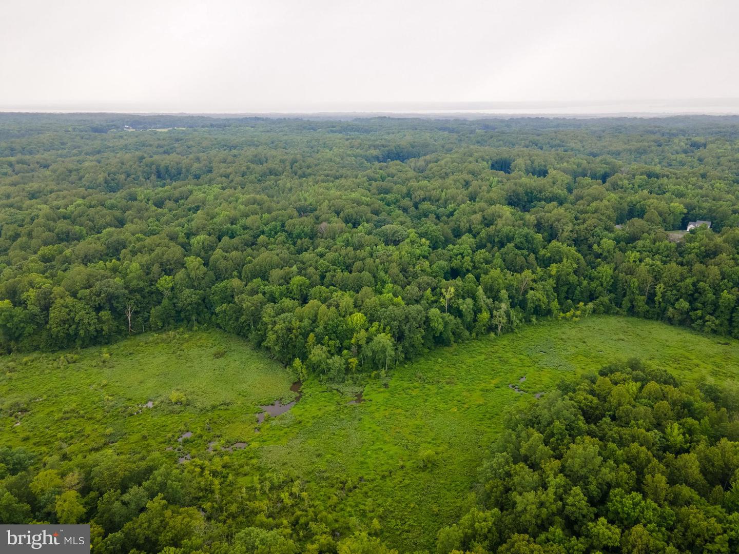 (TAX MAP 17-21) SAINT PAUL RD, KING GEORGE, Virginia 22485, ,Land,For sale,(TAX MAP 17-21) SAINT PAUL RD,VAKG2006544 MLS # VAKG2006544