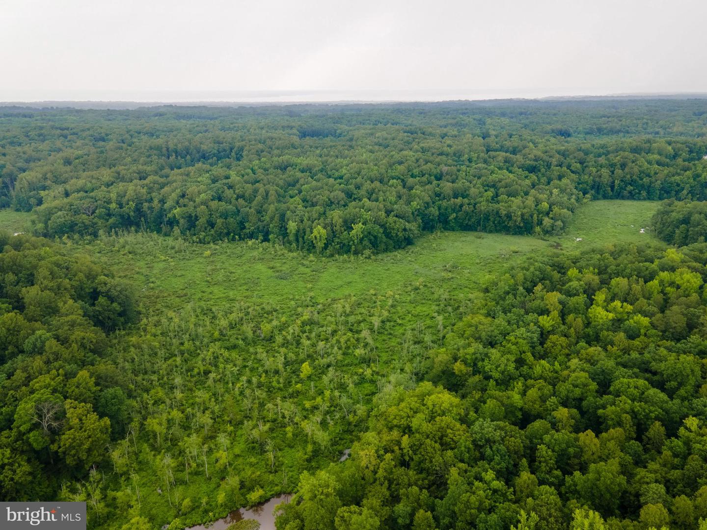 (TAX MAP 17-21) SAINT PAUL RD, KING GEORGE, Virginia 22485, ,Land,For sale,(TAX MAP 17-21) SAINT PAUL RD,VAKG2006544 MLS # VAKG2006544