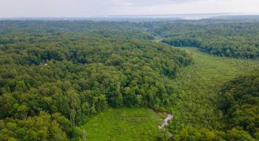(TAX MAP 17-21) SAINT PAUL RD, KING GEORGE, Virginia 22485, ,Land,For sale,(TAX MAP 17-21) SAINT PAUL RD,VAKG2006544 MLS # VAKG2006544