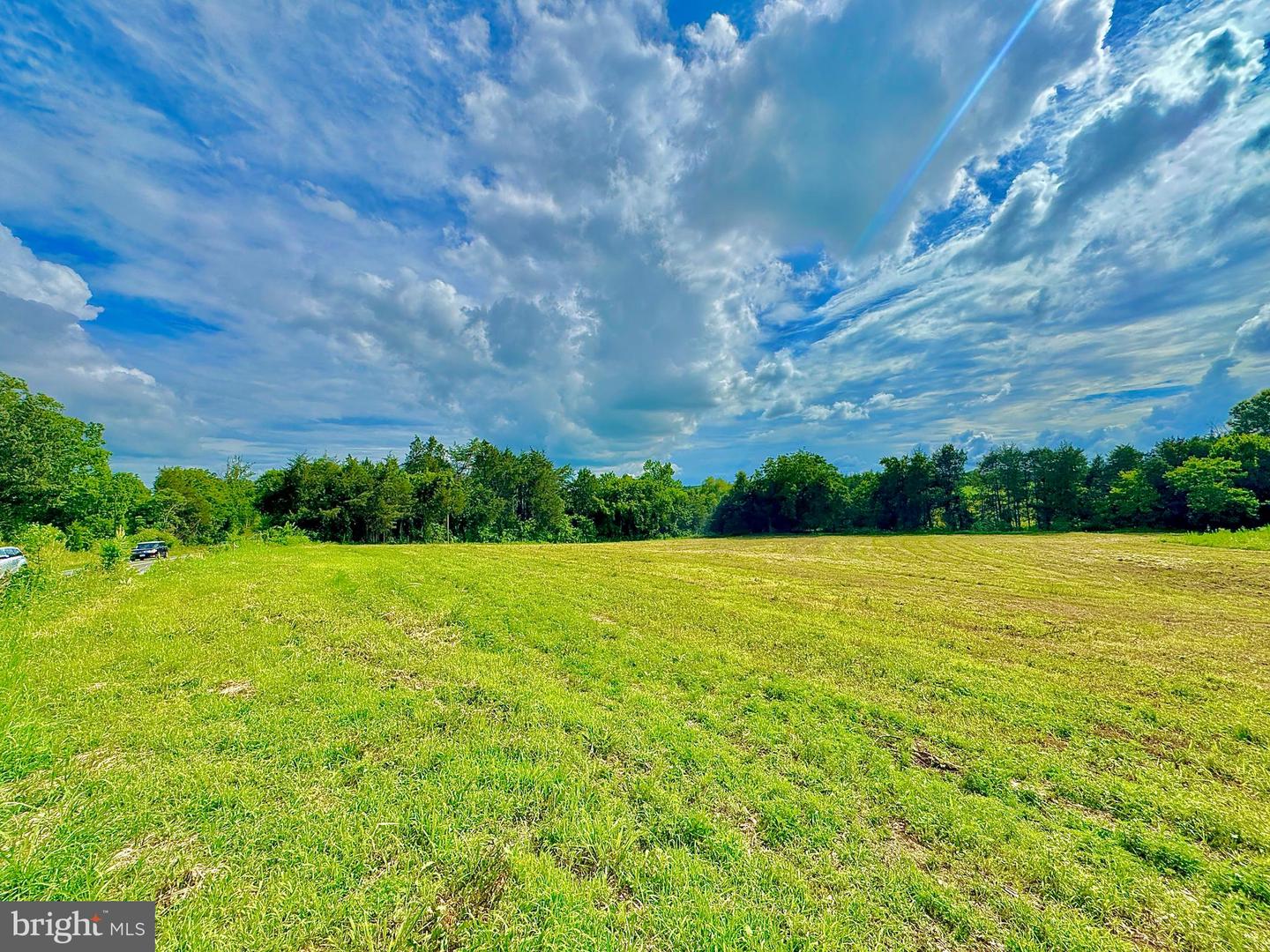 LOT 8 ZACHARY TAYLOR HWY, UNIONVILLE, Virginia 22567, ,Land,For sale,LOT 8 ZACHARY TAYLOR HWY,VAOR2009962 MLS # VAOR2009962