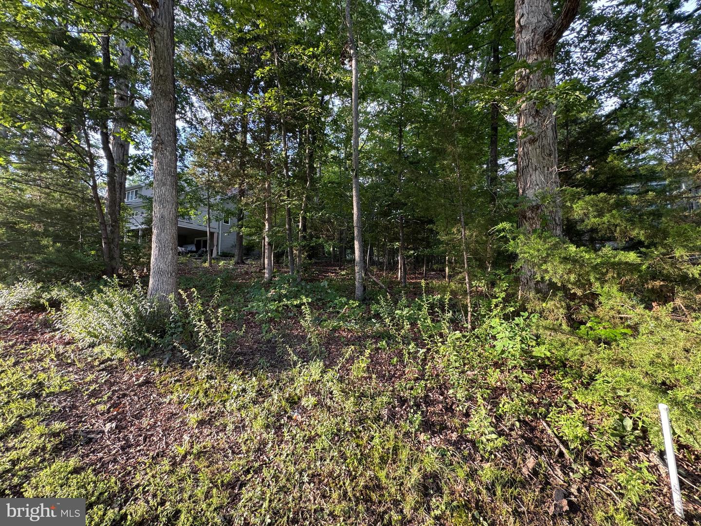 218 BIRDIE RD, LOCUST GROVE, Virginia 22508, ,Land,For sale,218 BIRDIE RD,VAOR2009992 MLS # VAOR2009992