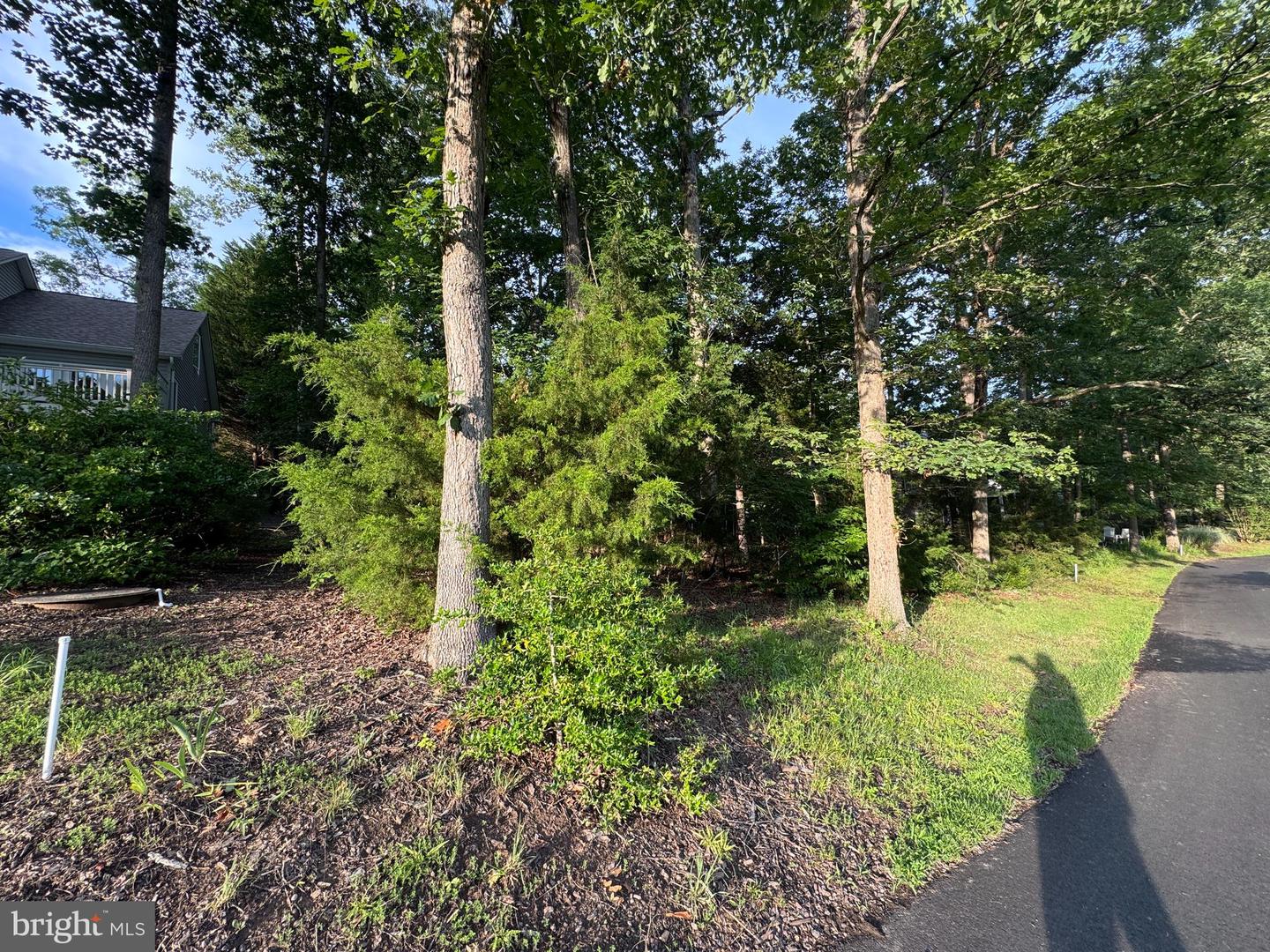 218 BIRDIE RD, LOCUST GROVE, Virginia 22508, ,Land,For sale,218 BIRDIE RD,VAOR2009992 MLS # VAOR2009992
