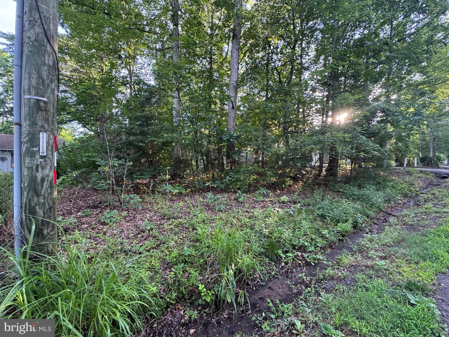 218 BIRDIE RD, LOCUST GROVE, Virginia 22508, ,Land,For sale,218 BIRDIE RD,VAOR2009992 MLS # VAOR2009992