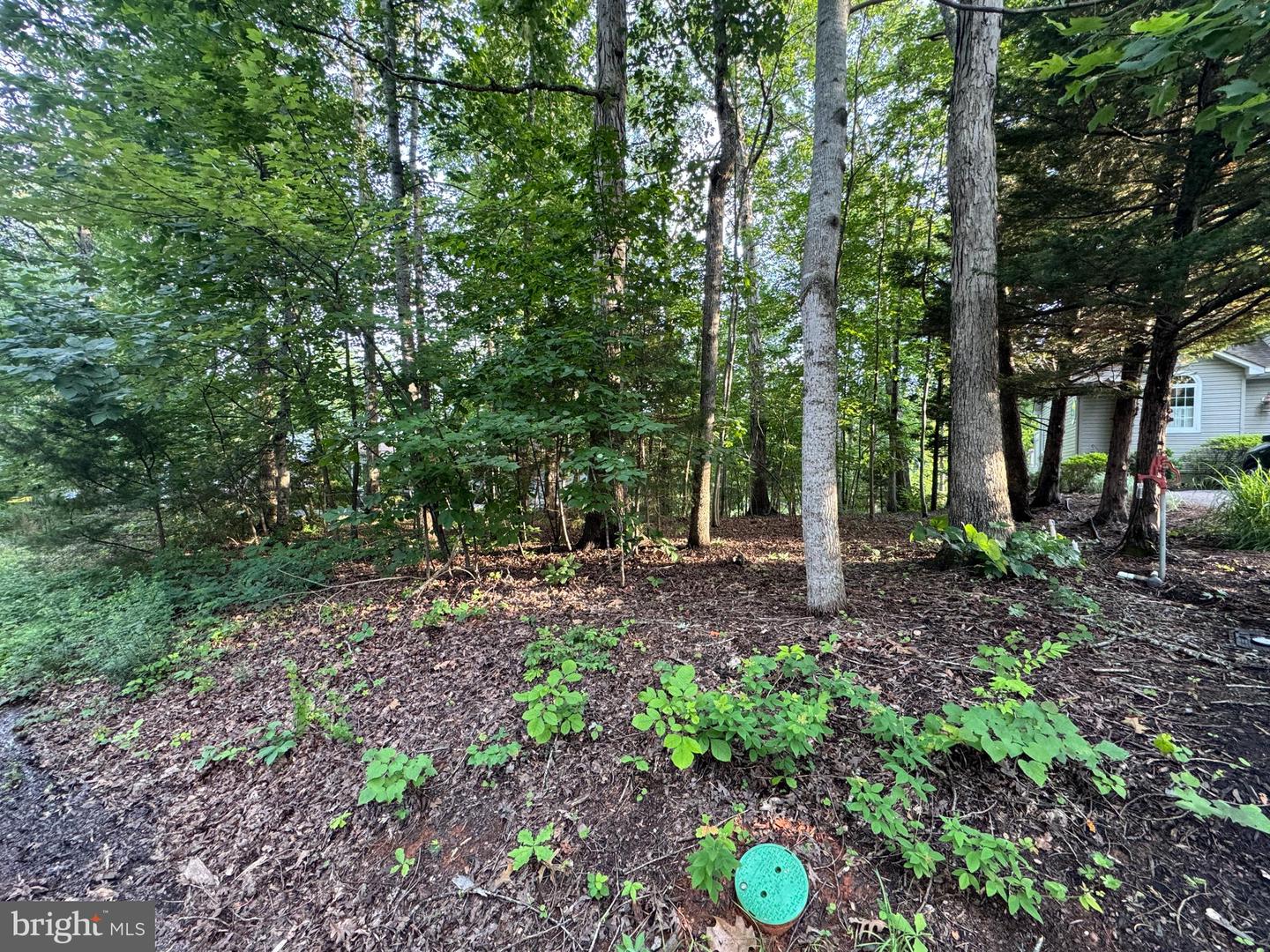218 BIRDIE RD, LOCUST GROVE, Virginia 22508, ,Land,For sale,218 BIRDIE RD,VAOR2009992 MLS # VAOR2009992