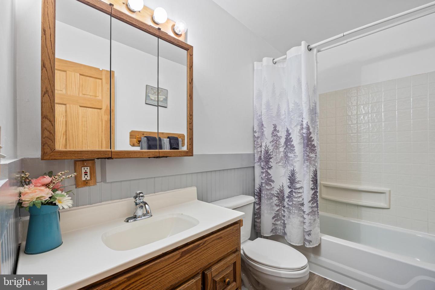 1215 & 1225 FORT STOVER RD, LURAY, Virginia 22835, 4 Bedrooms Bedrooms, ,3 BathroomsBathrooms,Residential,For sale,1215 & 1225 FORT STOVER RD,VAPA2005036 MLS # VAPA2005036