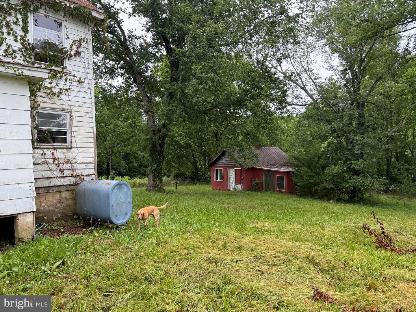 884 RED OAK SCHOOL RD, RUSTBURG, Virginia 24588, 4 Bedrooms Bedrooms, ,2 BathroomsBathrooms,Residential,For sale,884 RED OAK SCHOOL RD,VACP2000088 MLS # VACP2000088