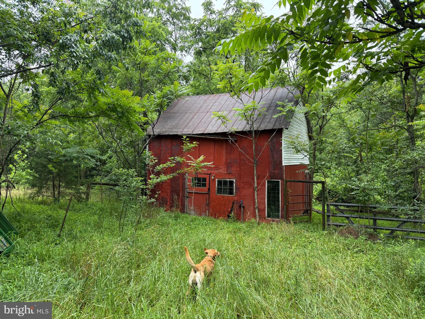 884 RED OAK SCHOOL RD, RUSTBURG, Virginia 24588, 4 Bedrooms Bedrooms, ,2 BathroomsBathrooms,Residential,For sale,884 RED OAK SCHOOL RD,VACP2000088 MLS # VACP2000088