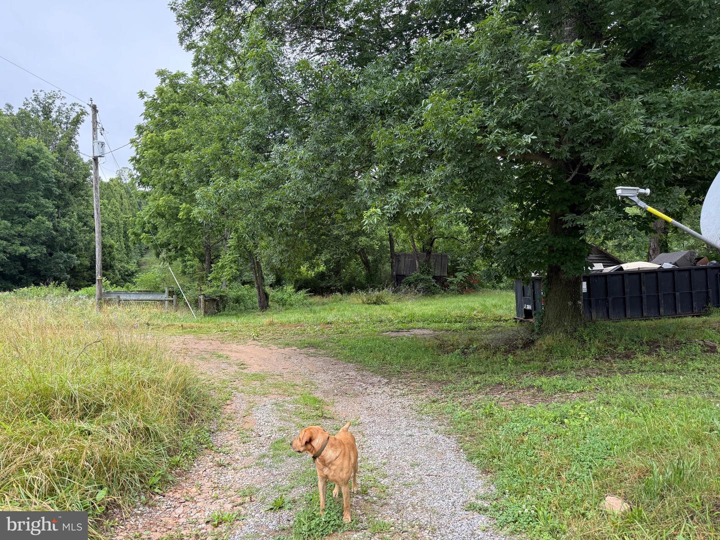 884 RED OAK SCHOOL RD, RUSTBURG, Virginia 24588, 4 Bedrooms Bedrooms, ,2 BathroomsBathrooms,Residential,For sale,884 RED OAK SCHOOL RD,VACP2000088 MLS # VACP2000088
