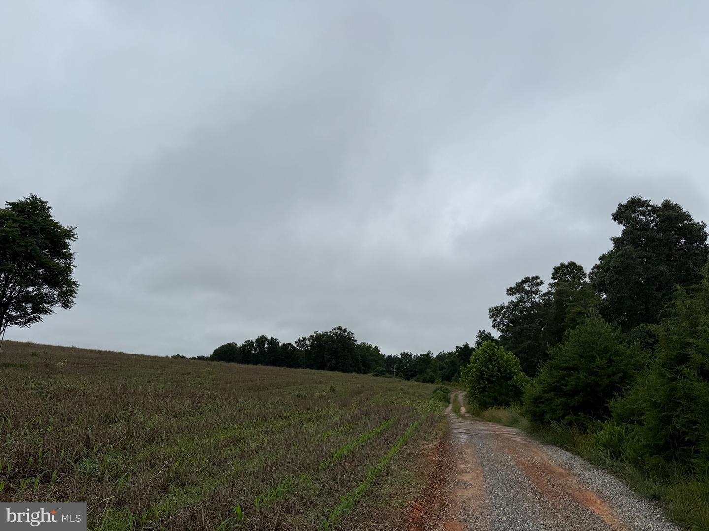 884 RED OAK SCHOOL RD, RUSTBURG, Virginia 24588, 4 Bedrooms Bedrooms, ,2 BathroomsBathrooms,Residential,For sale,884 RED OAK SCHOOL RD,VACP2000088 MLS # VACP2000088